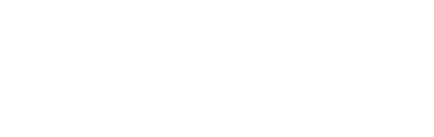 The Business Times white logo