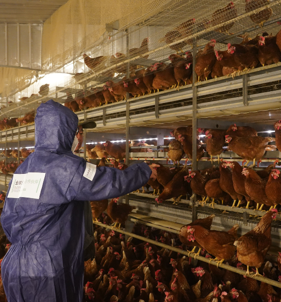 Banking Asia’s Protein Transition: Financing the Shift Towards Responsible and Sustainable Food & Agriculture Systems for Asia