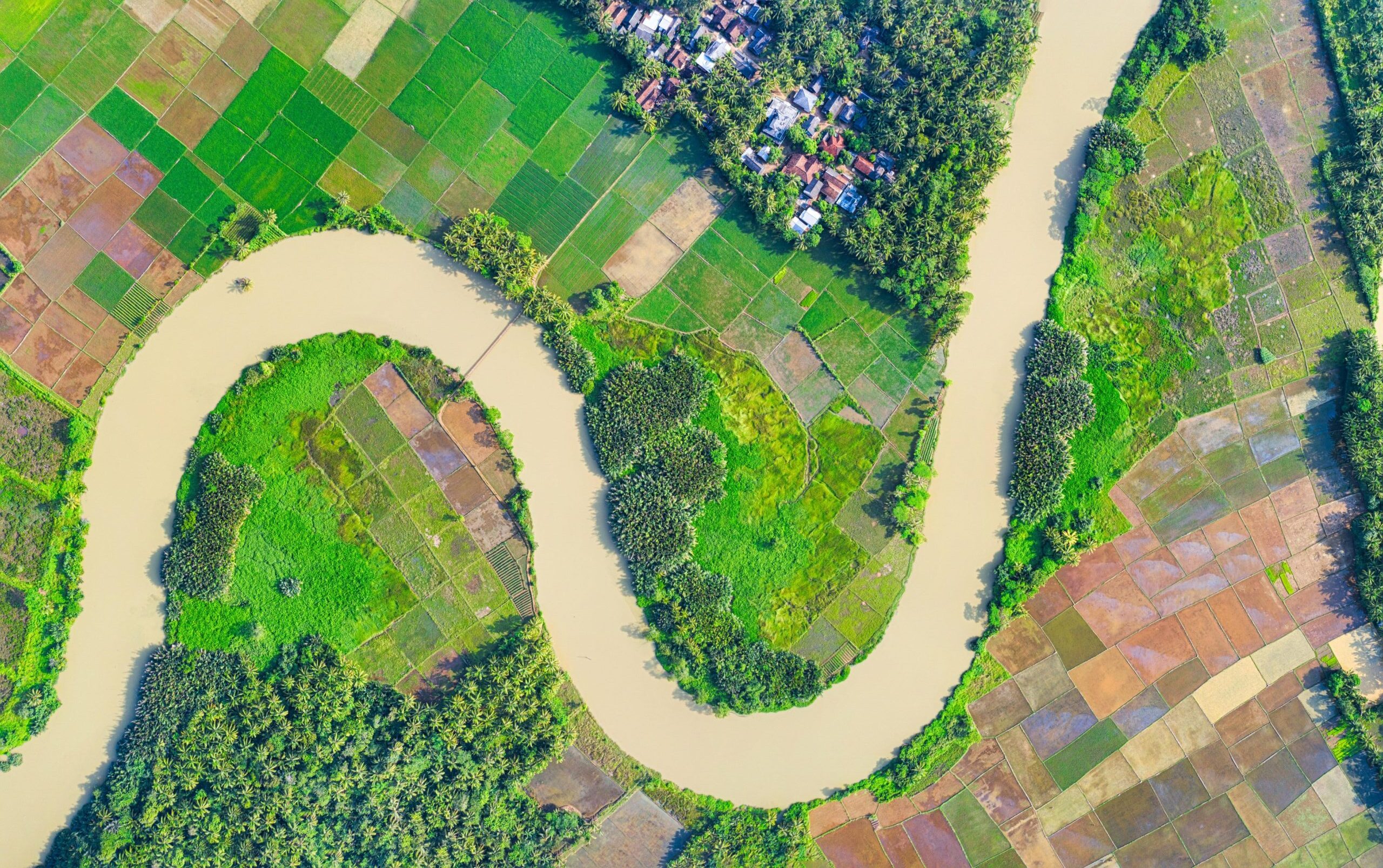 road cutting through freen field-food-production-protein-transition