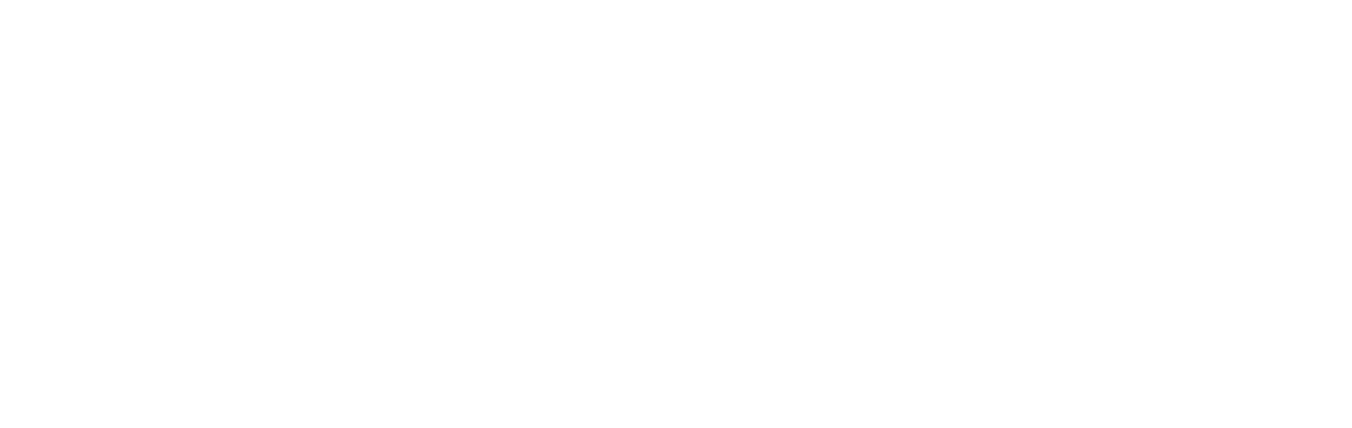 China Daily media logo