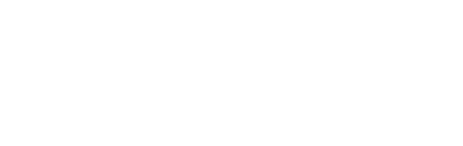 Phoenix Net media logo